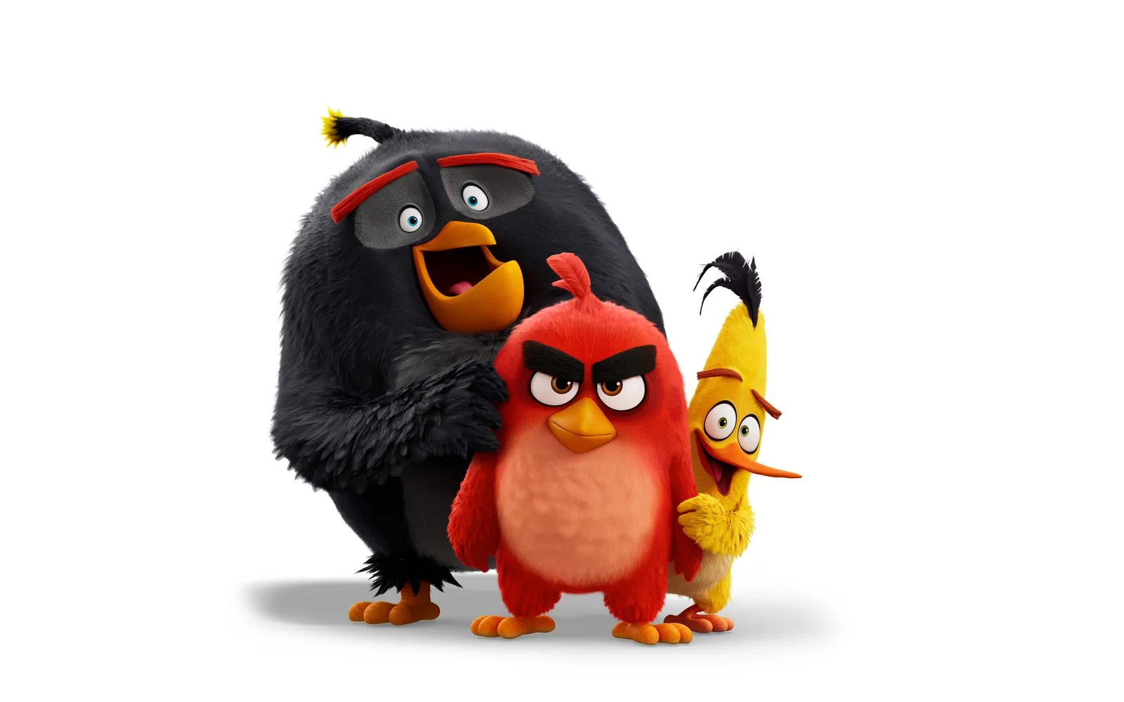 Angry Birds characters Bomb, Red and Chuck